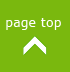 PageTop